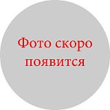 Пакет 3-х слойный 100 г (Россия) ламинат бронза 100 шт