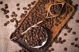 12) Кофе в зернах Робуста Уганда